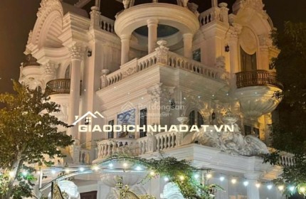 BÁN BIỆT THỰ VIP KHU D5 VƯỜN ĐÀO MẶT VƯỜN HOA DT 195M2X5T ĐẸP LONG LANH GIÁ RẺ